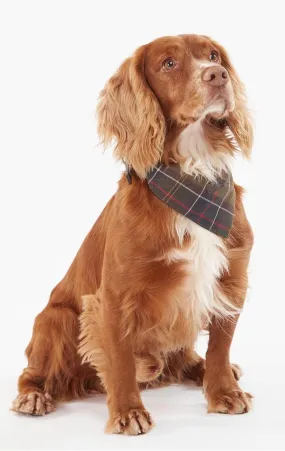 Barbour Tartan Dog Bandana